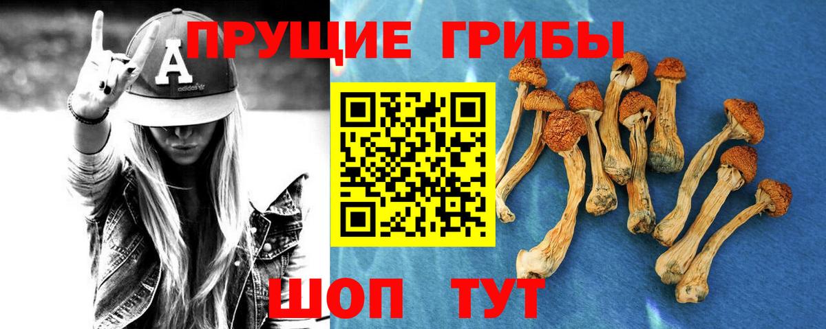 Псилоцибиновые грибы прущие грибы  Псилоцибиновые грибы Magic Shrooms  Протвино  Вход с VPN 